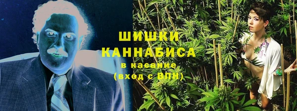 сатива Ладушкин