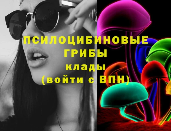 сатива Ладушкин