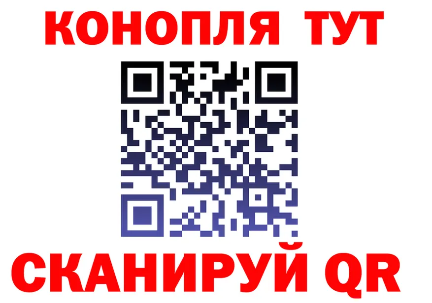 ГАШИШ Изолятор маркетплейс площадка OMG Железногорск