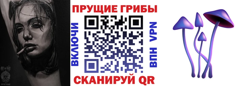 Купить  Железногорск  Псилоцибиновые грибы мухоморы 